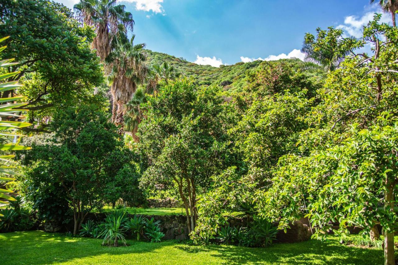 Casa Galeana- Tropical 1-Bd 1-Wc Mountain Top Luxury Suite With Stunning Views Ajijic Extérieur photo