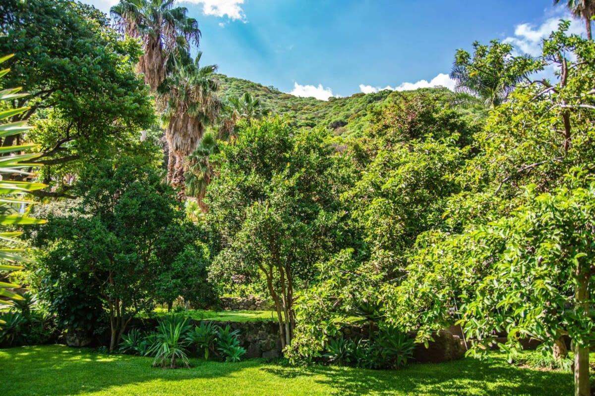 Casa Galeana- Tropical 1-Bd 1-Wc Mountain Top Luxury Suite With Stunning Views Ajijic Extérieur photo